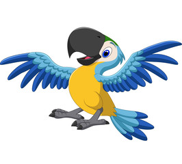 Happy parrot flying © tigatelu