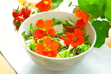 nasturtium flowers salad bright light