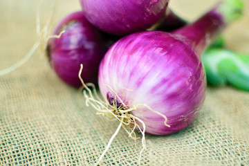 red onion