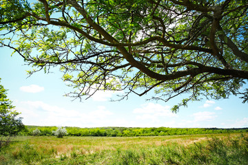 Green hills under blue sky
