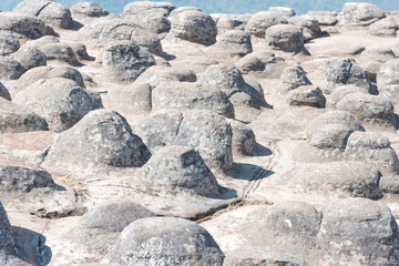 LAN HIN PUM ,The Knob stone ground, Rocky Ground Phuhinrongkla N