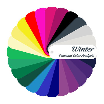 Stock vector color guide. Seasonal color analysis palette for winter type. Type of female appearance