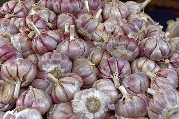 a heap of fresh garlic