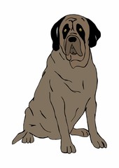 Mastiff