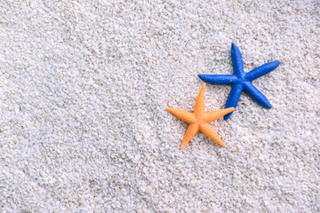 Fototapeta na wymiar starfish in the beach sand