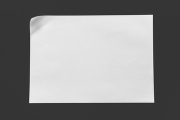 Empty paper sheet