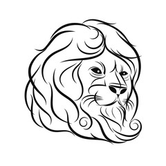 hand draw lion head