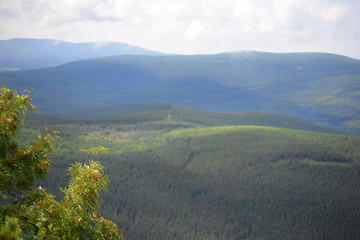 Mountain Szrenica