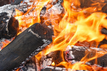 Coals of campfire closeup