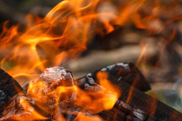 Coals of campfire closeup