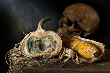 Still life photography : moldy pumpkin, radish and corn on old wood with skull at background