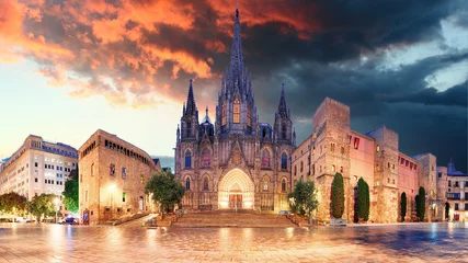 Meubelstickers Kathedraal van Barcelona, Plaza Nova © TTstudio