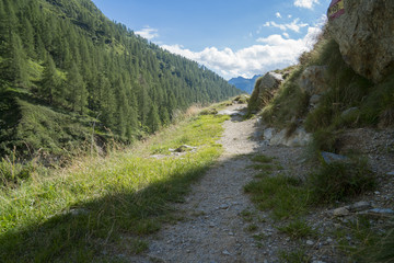 Fototapeta na wymiar Mountain path