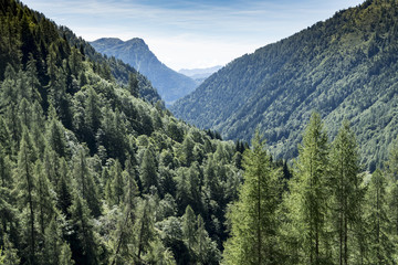 Large wooded valley the Italian Alps