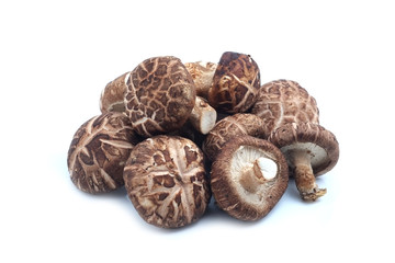 Shiitake mushroom on the White background