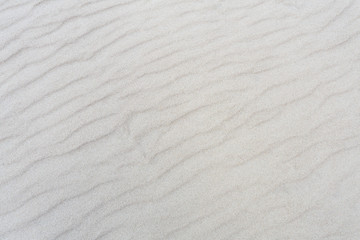 Fototapeta na wymiar Sea sand waves, top view