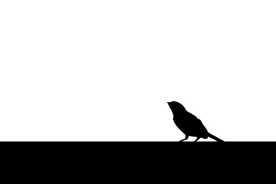 silhouette illustraton of sparrow sitting on wall, copy space, isolated on white background