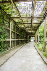 Old steel construction