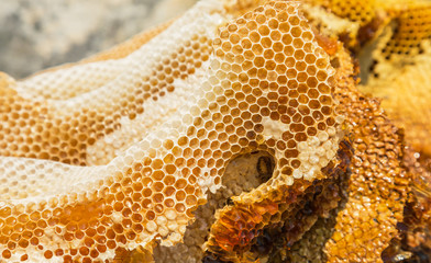 Close up natural yellow honeycomb texture selective soft focus 