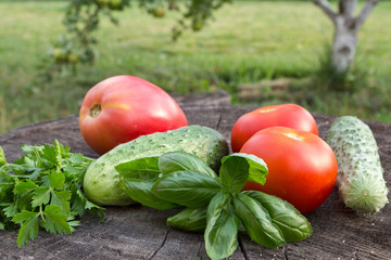 Fresh vegetables on a stump.