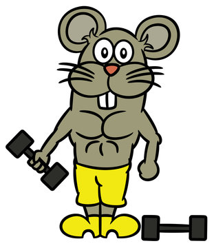 Gym Rat With Dumbbells Cartoon Character