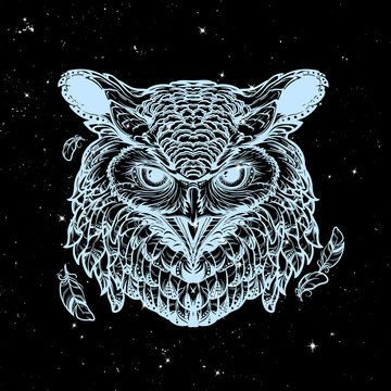 Owl sketch isolated on a nightsky background