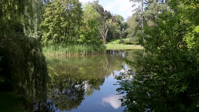 Staw w parku