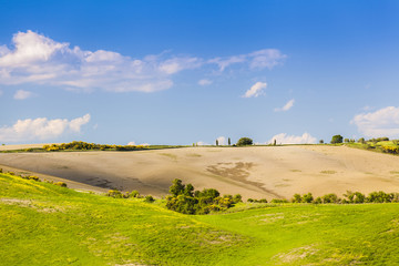 Obraz premium Wheat field and countryside scenery in Tuscany, Landscape of beautiful Italian nature, Italy field country