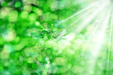 Fototapeta premium abstract light