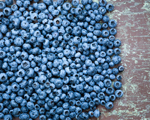 Freshly picked wild blueberries