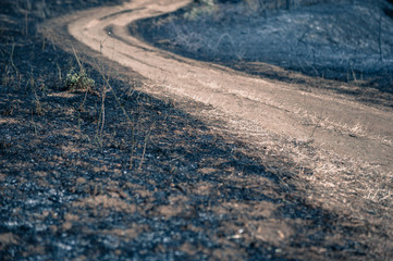 Turning path around scorched earth