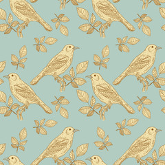 Birds vintage seamless pattern vector