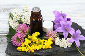 Fototapeta na wymiar Essential oil & meadow flowers