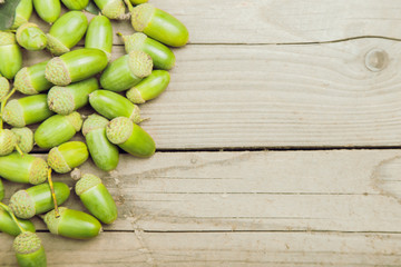 Green fresh shiny acorns on a wooden table