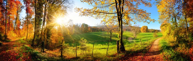 Deurstickers Panorama Magisch herfstlandschap: een zonnig panorama van landelijke idylle