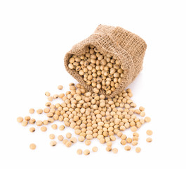 Soy beans in sack on white background