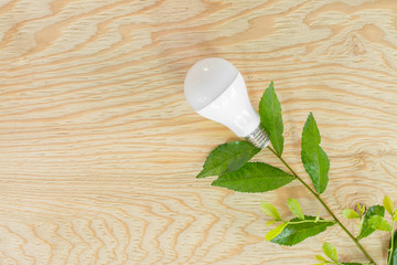 LED bulbs on wood background,Energy saving concept,Natural energy concept,Energy saving bulb.
