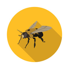flat icon bee carpenter