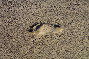 Fußabdruck im Sand
