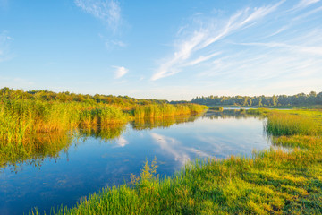 Shore of a lake during the golden hour