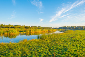 Naklejka premium Shore of a lake during the golden hour