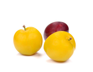 Yellow,Red Ripe plum on white background.