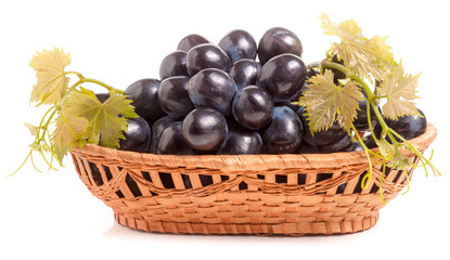 Blue grapes in a wicker basket isolated on white background