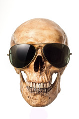 skull wearing sunglasses