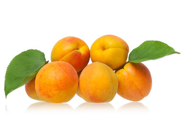 Fresh ripe apricots