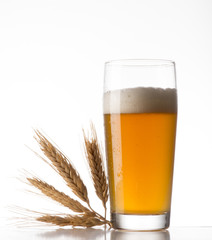 glass of beer on white background