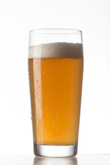 glass of beer on white background