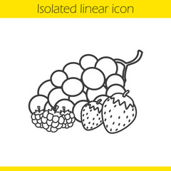Berries linear icon