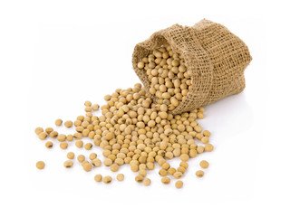 soybean in small sack on white background