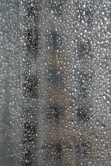 Naklejka na ściany i meble Drops of rain on the window